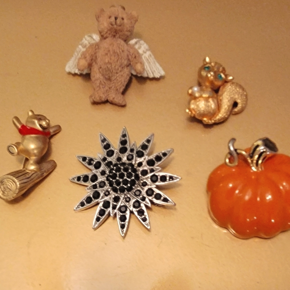 Assorted Brooch Set with Black and Orange Accents